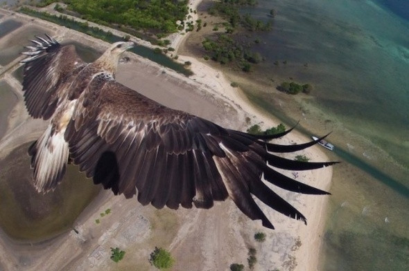 En iyi drone fotoğrafları - Resim: 16