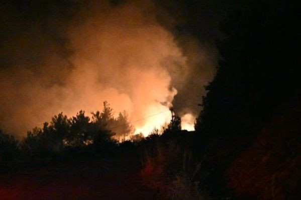 Akhisar'da alevler bir köye daha sıçradı - Resim: 4