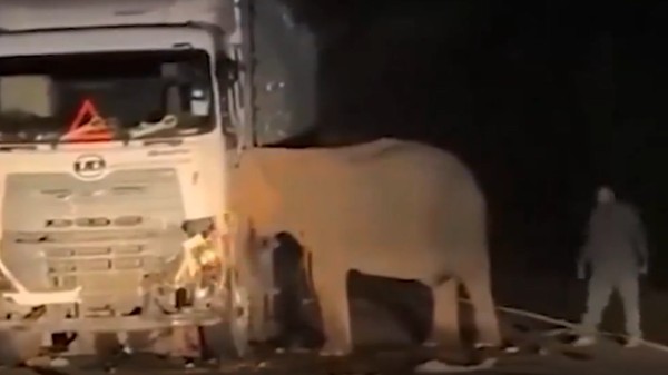 Gecenin karanlığında kahreden görüntü