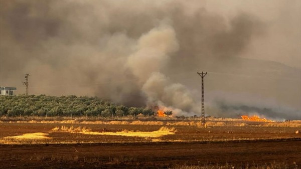 Gaziantep'te buğday tarlasında yangın: 500 dönüm alan etkilendi, 20 keçi telef oldu