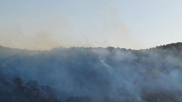 Hatay'da orman yangını! Havadan ve karadan müdahale sürüyor