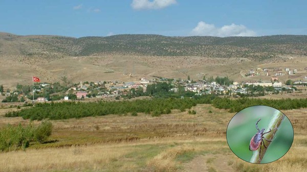 Kene bir can daha aldı! Kentte ölü sayısı 8’e yükseldi
