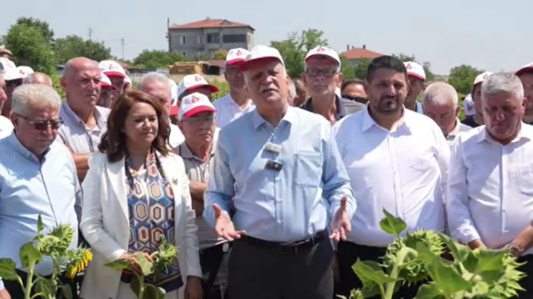 Bayraktar: Ayçiçeği kuraklıkla sınanıyor