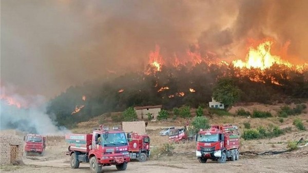 Eskişehir’deki orman yangınında hayatını kaybedenlerin kimlikleri açıklandı