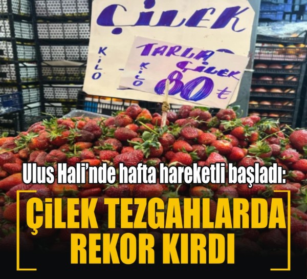 Ulus Hali’nde hafta hareketli başladı: Çilek tezgahlarda rekor kırdı