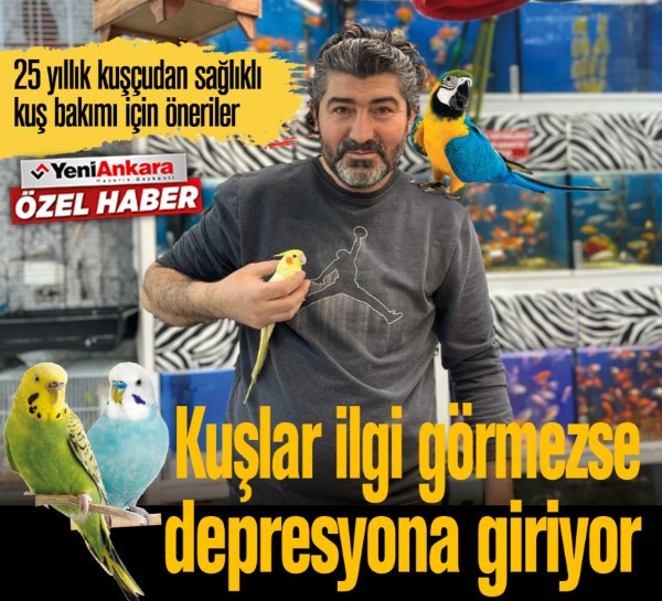 25 yıllık kuşçudan sağlıklı kuş bakımı için öneriler: “Kuşlar ilgi görmezse depresyona giriyor”
