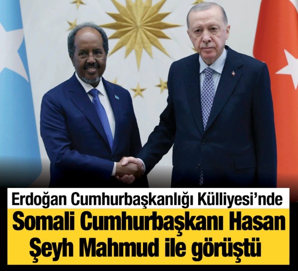 Erdoğan, Somali Cumhurbaşkanı Mahmud ile görüştü