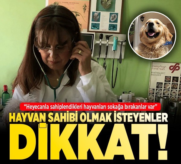Hayvan sahibi olmak isteyenler dikkat!