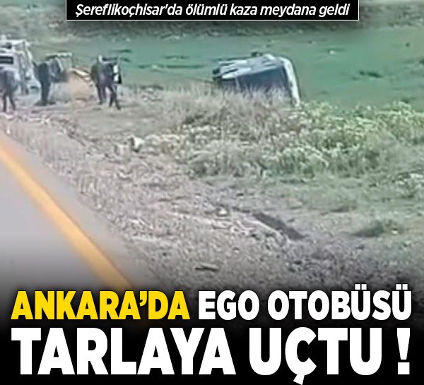 Ankara’da EGO otobüsü tarlaya uçtu, Şereflikoçhisar'da ölümlü kaza meydana geldi