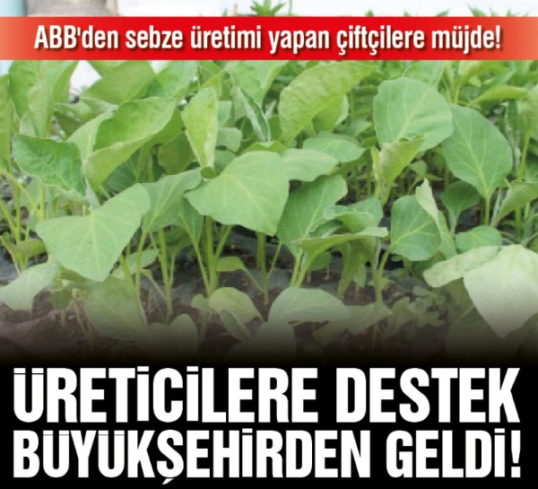 ABB'den sebze üretimi yapan çiftçilere müjde! Üreticilere destek büyükşehirden geldi!