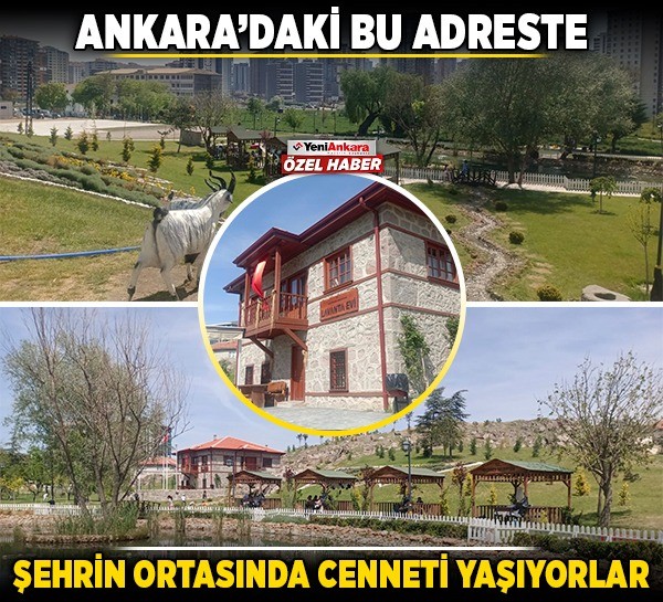 Ankara'daki bu adreste şehrin ortasında cenneti yaşıyorlar