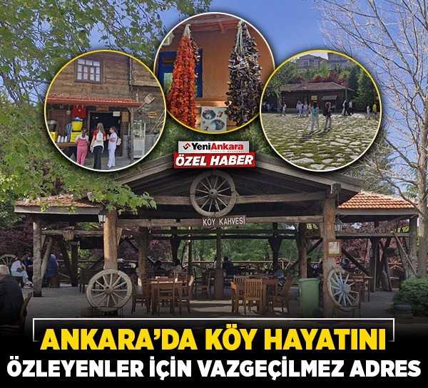 Ankara'da köy hayatını özleyenler için vazgeçilmez adres