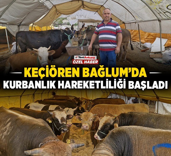 Keçiören Bağlum’da kurbanlık hareketliliği başladı!
