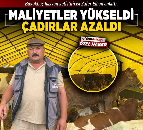Büyükbaş hayvan yetiştiricisi Zafer Elhan anlattı: Maliyetler yükseldi, çadırlar azaldı
