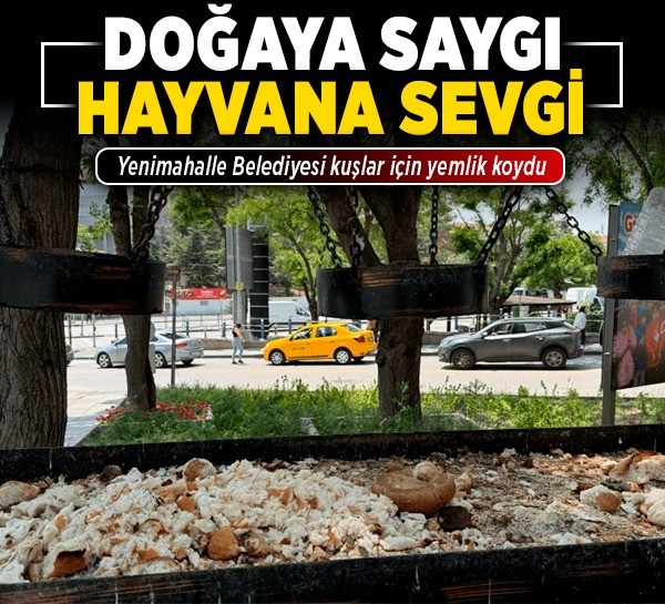 Doğaya saygı, hayvana sevgi: Yenimahalle Belediyesi kuşlar için yemlik koydu