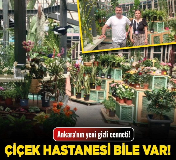 Ankara'nın yeni gizli cenneti! Çiçek hastanesi bile var!