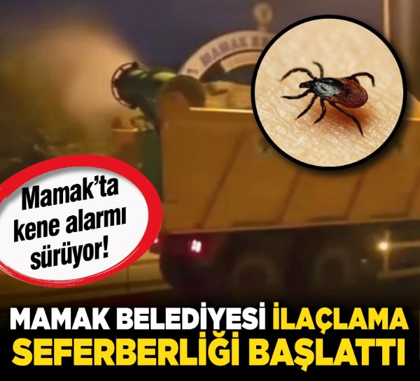 Mamak’ta kene alarmı sürüyor! Mamak Belediyesi ilaçlama seferberliği başlattı