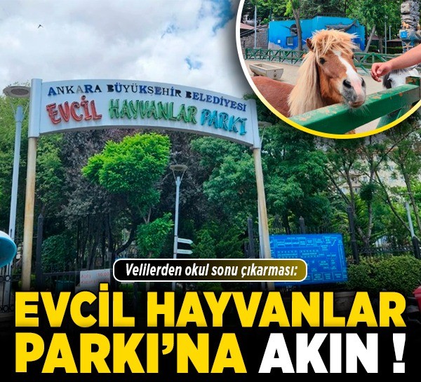 Velilerden okul sonu çıkarması: Evcil Hayvanlar Parkı’na akın!