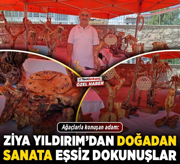 Ağaçlarla konuşan adam: Ziya Yıldırım’dan doğadan sanata eşsiz dokunuşlar