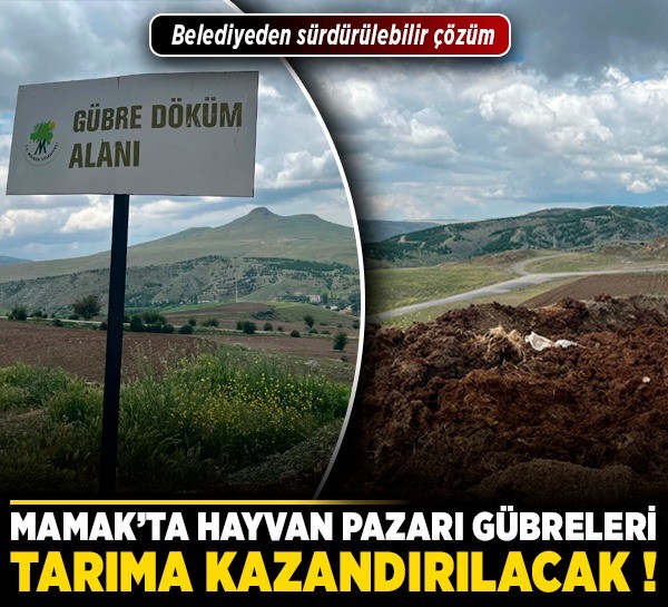 Mamak’ta hayvan pazarı gübreleri tarıma kazandırılacak! Belediyeden sürdürülebilir çözüm
