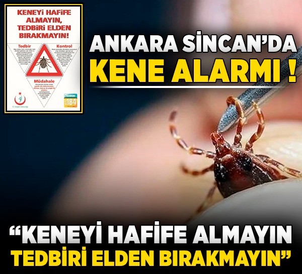 Ankara Sincan’da kene alarmı! "Keneyi hafife almayın, tedbiri elden bırakmayın"