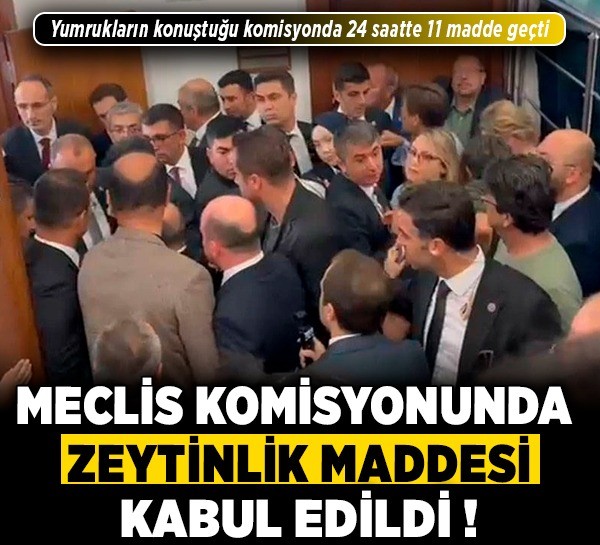 Meclis Komisyonunda zeytinlik maddesi kabul edildi! Yumrukların konuştuğu komisyonda 24 saatte 11 madde geçti