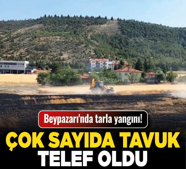 Beypazarı'nda tarla yangını! Çok sayıda tavuk telef oldu