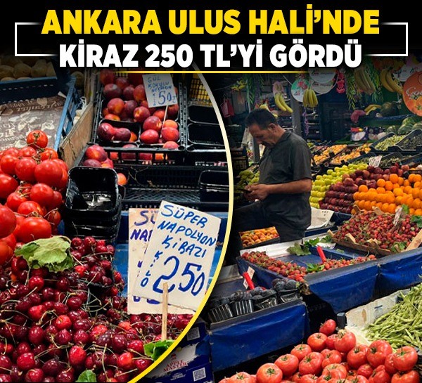 Ankara Ulus Hali’nde kiraz 250 TL’yi gördü