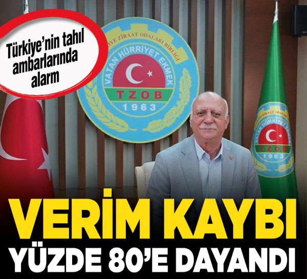 Türkiye’nin tahıl ambarlarında alarm: Verim kaybı yüzde 80’e dayandı