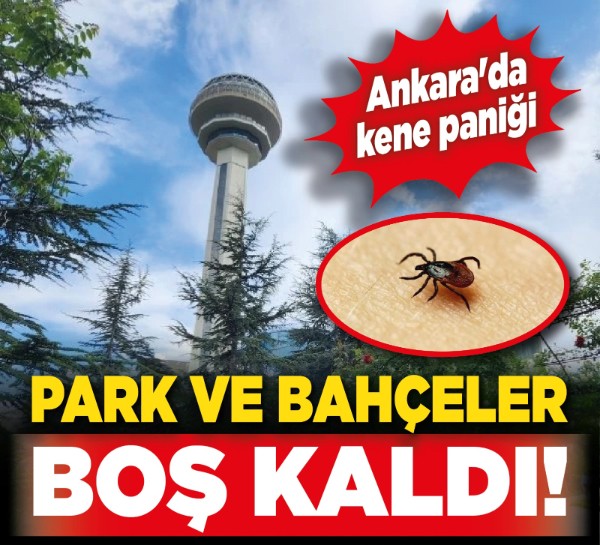 Ankara'da kene paniği: Park ve bahçeler boş kaldı!