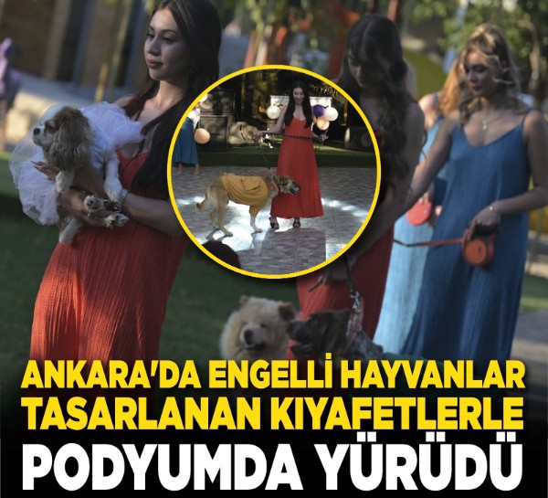 Ankara'da engelli hayvanlar tasarlanan kıyafetlerle podyumda yürüdü