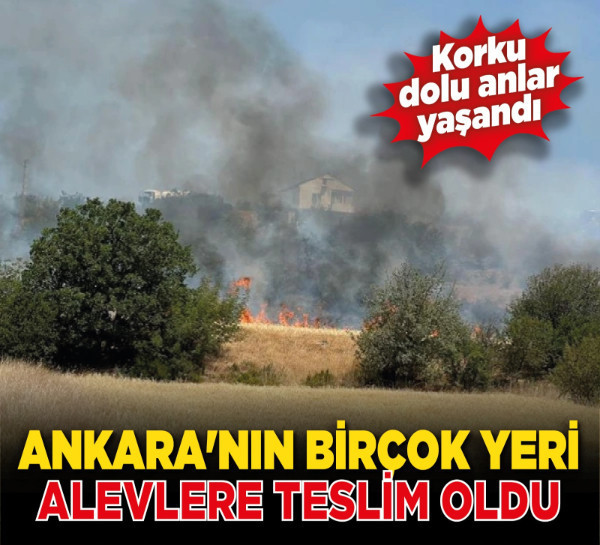 Ankara'nın birçok yeri alevlere teslim oldu!
