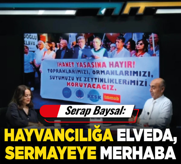 Serap Baysal: "Hayvancılığa elveda, sermayeye merhaba"