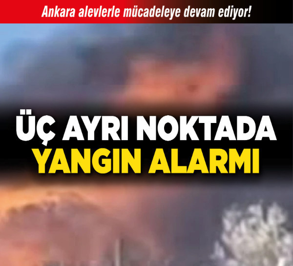 Ankara alevlerle mücadeleye devam ediyor! Üç ayrı noktada yangın alarmı