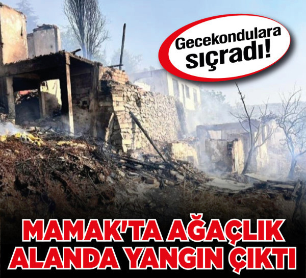 Mamak'ta ağaçlık alanda yangın çıktı! Gecekondulara sıçradı!