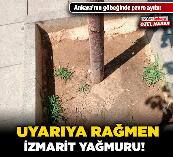 Ankara’nın göbeğinde çevre ayıbı: Uyarıya rağmen izmarit yağmuru!