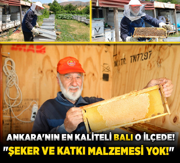 Ankara'nın en kaliteli balı o ilçede! "Şeker ve katkı malzemesi yok!"