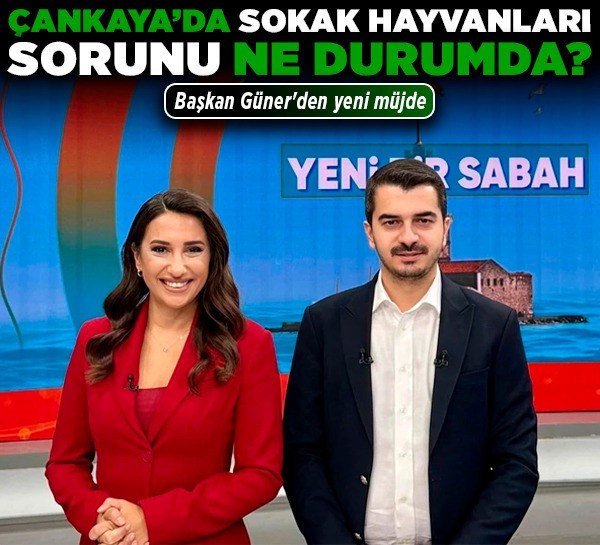 Çankaya'da sokak hayvanları sorunu ne durumda? Başkan Güner'den yeni müjde