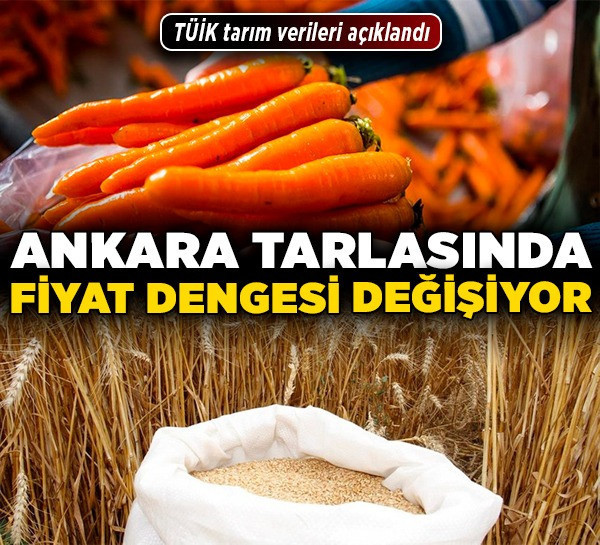 TÜİK tarım verileri açıklandı! Ankara tarlasında fiyat dengesi değişiyor