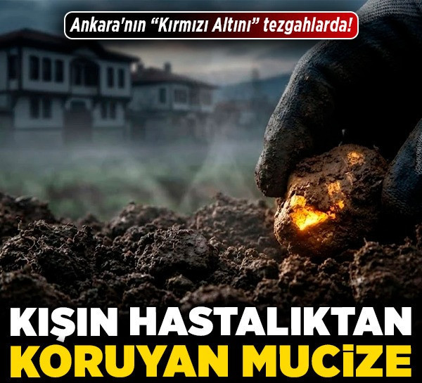Kışın hastalıktan koruyan mucize! Ankara'nın "Kırmızı Altını" tezgahlarda!
