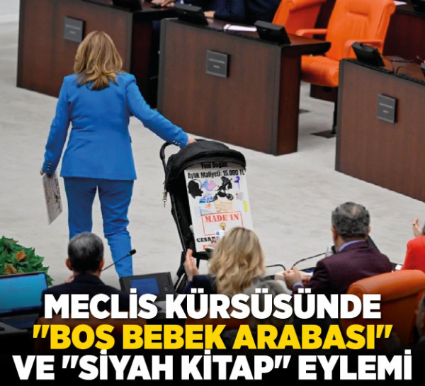 Meclis kürsüsünde "boş bebek arabası" ve "siyah kitap" eylemi