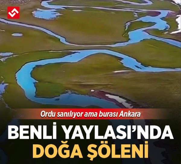 Ordu sanılıyor ama burası Ankara: Benli Yaylası’nda doğa şöleni