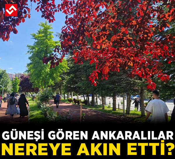 Başkentte bahar coşkusu: Parklar ve meydanlar renklendi