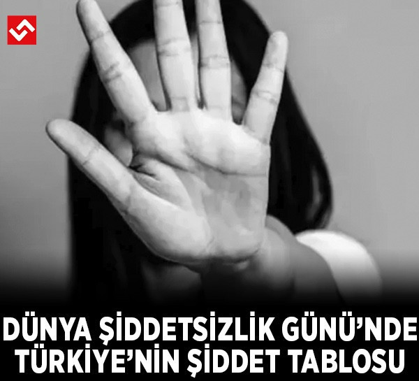2 Ekim Dünya Şiddetsizlik Günü: TÜİK verileriyle Türkiye'de kadına şiddet tablosu!