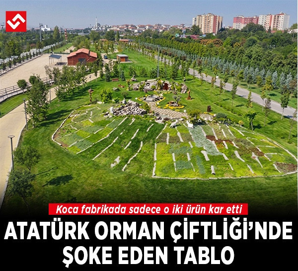 Atatürk Orman Çiftliği (AOÇ) Sayıştay raporu: 2023 yılı kâr ve zarar tablosu açıklandı