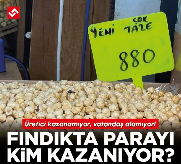 Üretici kazanamıyor, vatandaş alamıyor! Fındıkta parayı kim kazanıyor?
