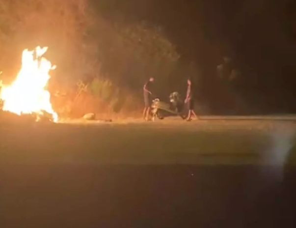 Yangın Çıkaran Şüpheliler Motosikletle Kaçtı - Resim: 2