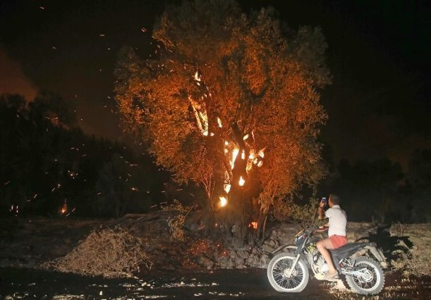 Yangın Çıkaran Şüpheliler Motosikletle Kaçtı - Resim: 6