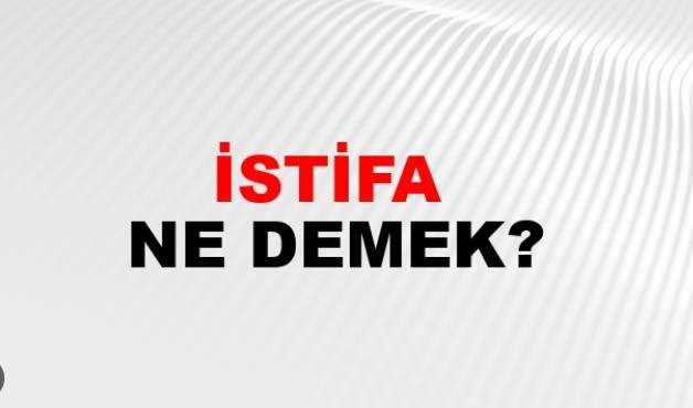 Baskılara Dayanamadı İstifa Etti - Resim: 1