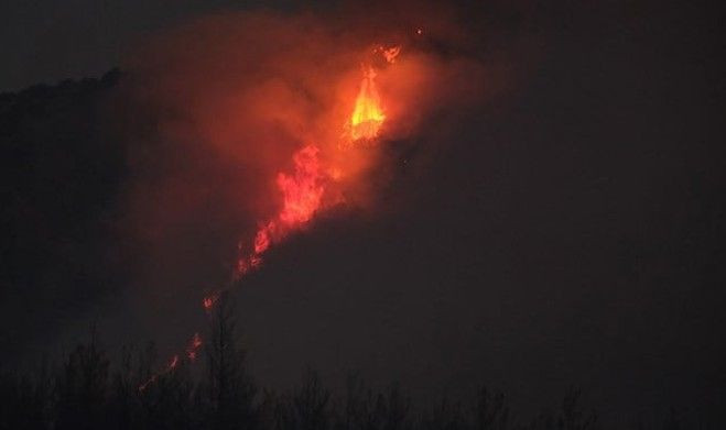 Akhisar'da alevler bir köye daha sıçradı - Resim: 2
